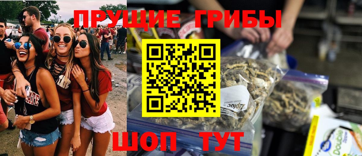 Псилоцибиновые грибы мицелий Урюпинск